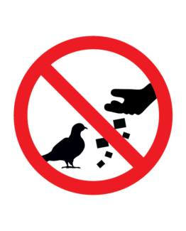 Keelumärk lindude toitmine keelatud